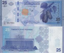 Suriye Yeni Baskı 2025 Yılı 200-100-50-25-10 Yeni Suriye Pound'u Set 5'Li Yabancı Kağıt Para ÇİL