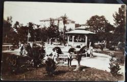 Fotokart: Adana Belediye Bahçesi