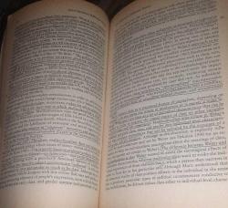 CRITICAL SOCIAL THEORIES