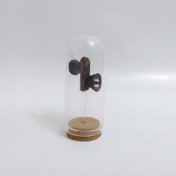 Siren Head Kafası Fanus İçinde – El Yapımı