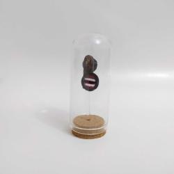 Siren Head Kafası Fanus İçinde – El Yapımı