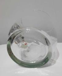 SSCB Dönemine Ait  Nadir Başak Burcu Bardak