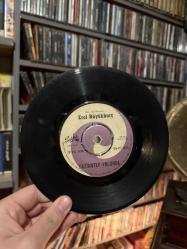 Erol Büyükburç / Gaziantep Yolunda (A) - Çilli Horozum (B)