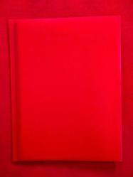 Umix A3 Sunum Dosyası - 40 Yaprak (80 Sayfa) - Kırmızı - 2. El, Temiz, Kusursuz