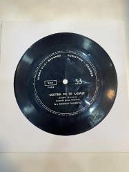 BOZİDAR IVANISEVIC - SESTRA MI SE UDAJE