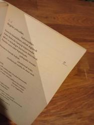 İçimde Kızıl Bir Gül Gibi