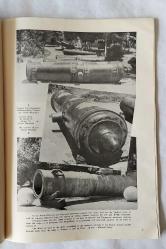 Navy Day 1951