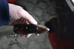 DÖVME ÇELİK  AVCI BIÇAĞI + DERİ KILIF SIFIR   (ANTİK KOLİ 4