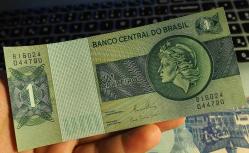 BRAZİLYA 1 CRUZERO ÇİL