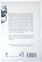 TEPEDEKİ EV