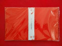 Noki A4 Sunum Dosyası - 100 Yaprak (200 Sayfa) - Kırmızı - Sıfır Ürün