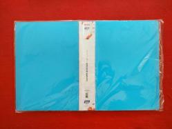 Noki A4 Sunum Dosyası - 100 Yaprak (200 Sayfa) - Mavi - Sıfır Ürün