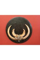 Ahşap kaidesinde vahşi hayvan dişleri 17 cm çapında