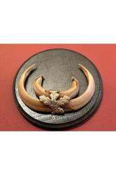 Ahşap kaidesinde vahşi hayvan dişleri 17 cm çapında