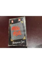 kaset - metin milli - seviyorum işte