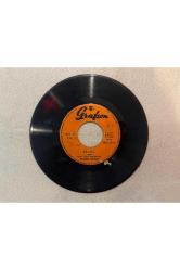 NEZAHAT BAYRAM - BİLMEM FELEĞİN KASTI NE - BÜLBÜL PLAK