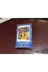 kaset - Ayşegül - güzelleme - 76y