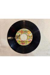 TÜLAY GERMAN - BURÇAK TARLASI - MECNUNUM LEYLAMI GÖRDÜM PLAK