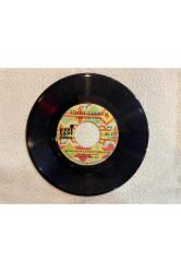 TÜLAY GERMAN - BURÇAK TARLASI - MECNUNUM LEYLAMI GÖRDÜM PLAK