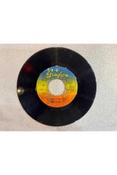 ZEKİ MÜREN - BÜTÜN MEYHANELER BENİM OLSUN - SEVEMEZ KİMSE SENİ PLAK