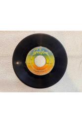 NEZAHAT BAYRAM - FAKİR BİR ŞAİRİM - ÇOK SEVİYORUM PLAK 7 PUAN KAPAK YOKTUR