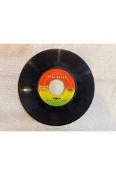 MİNE KOŞAN - YAĞMUR - VİCDAN AZABI PLAK 7 PUAN KAPAK YOKTUR