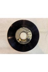 GÖNÜL AKKOR - BİR SOKAK ÇEŞMESİ - EDEN BULUR DÜNYASI PLAK 7 PUAN KAPAK YOKTUR