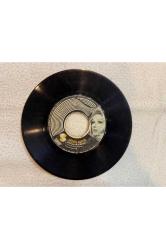 GÖNÜL AKKOR - BİR SOKAK ÇEŞMESİ - EDEN BULUR DÜNYASI PLAK 7 PUAN KAPAK YOKTUR