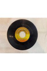 AHMET ÖZHAN - BİR DÜNYADA YARATTIM - AT KADEHİ ELİNDEN PLAK 7 PUAN KAPAK YOKTUR