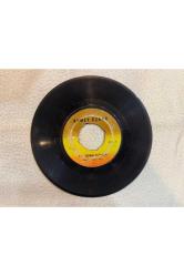 AHMET ÖZHAN - BİR DÜNYADA YARATTIM - AT KADEHİ ELİNDEN PLAK 7 PUAN KAPAK YOKTUR