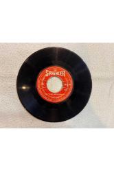 HAYRİ ŞAHİN - YAPTIĞINI BEĞENDİN Mİ - ACI IZDIRAP PLAK 7 PUAN KAPAK YOKTUR