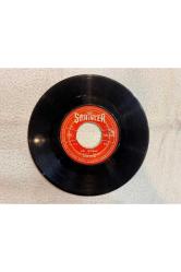 HAYRİ ŞAHİN - YAPTIĞINI BEĞENDİN Mİ - ACI IZDIRAP PLAK 7 PUAN KAPAK YOKTUR