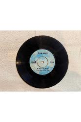 SEVİM ŞENGÜL - BİR DAHA ESME RÜZGAR - ÜZME TATLI CANINI PLAK