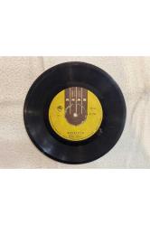 LÜTFÜ GÜNERİ - MANOLYAM - NURAN PLAK 7 PUAN