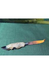 Gerçek Karaca ayağından peynir bıçağı- 29 cm boyunda