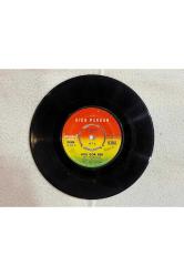 ajda pekkan - sanane kimene - hoş gör sen - plak 8 puan