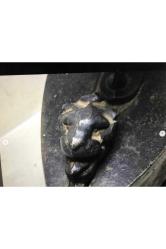 Aslan Başlı Kömürlü Ütü 21 Cm X 11 Cm X 23 Cm Ölçülerinde