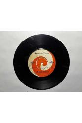 Nurinnisa Toksöz - Bir Bakış Baktın - Ocağıma Incir Diktin Plak