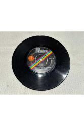 Neşe karaböcek - artık bu solan bahçede - demiyommu