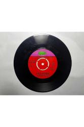 Yurdaer Doğulu - Elveda Meyhaneci - Şehnaz Longa Plak