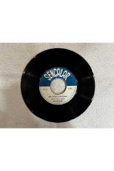 Behiye Aksoy - Sana Gelen Yollar - Beni Benden Alan Plak