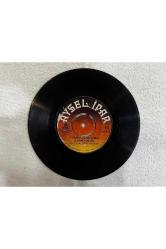 Aysel Ipar - Ağacın Altını Bilmem Anıyormusun - O Ağacın Altını Anmaz Olurmuyum Hiç Plak