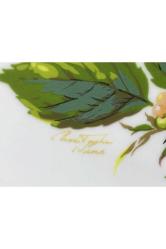 Caverswall England Red Admiral 21 Cm Çapında El Boyaması Duvar Tabağı