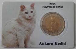 HAYVANLAR SERİSİ 2015 ANKARA KEDİSİ Özel Kapamasinda