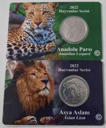 Aslan Ve Kaplan Takım  1 Kuruş 2022 Özel Kapamasinda