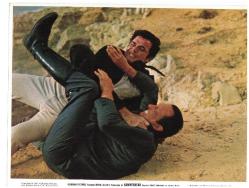 LOBİ KARTI PHOTO FİLM  HAMMERHEAD