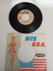 Frank Sinatra – Summer Wind 1966 Fransa Baskı 45lik Plak