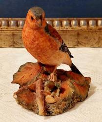 İskoçya, İspinoz Kuşu Heykeli. Bu Güzel Kuş Border Fine Art  Stüdyoları Tarafından Üretilmiştir. Çok İyi Durumdadır. (Renkli) El Boyaması, Reçine/Seramik. İskoç Yapımı, Etiketli. 1984'ler. (60x85x90 mm)
