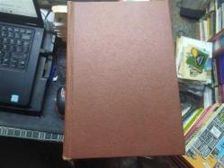 Geceyarısı Kovboyu