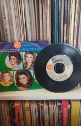 Neşe Karaböcek – Elbet Bir Gün Buluşacağız / Pişman Olur Da Bir Gün Yerli 45’lik plak, dönem baskı.